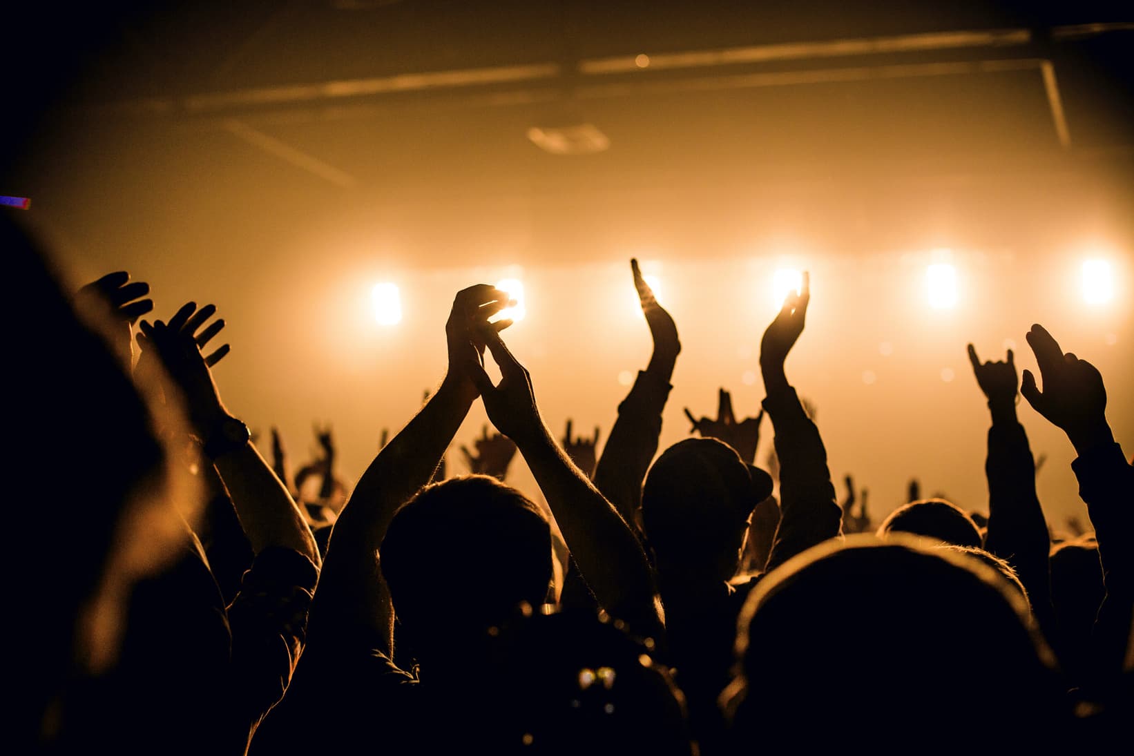 Audience at a live performance